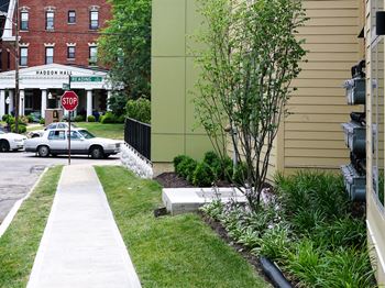 Landscaped grounds